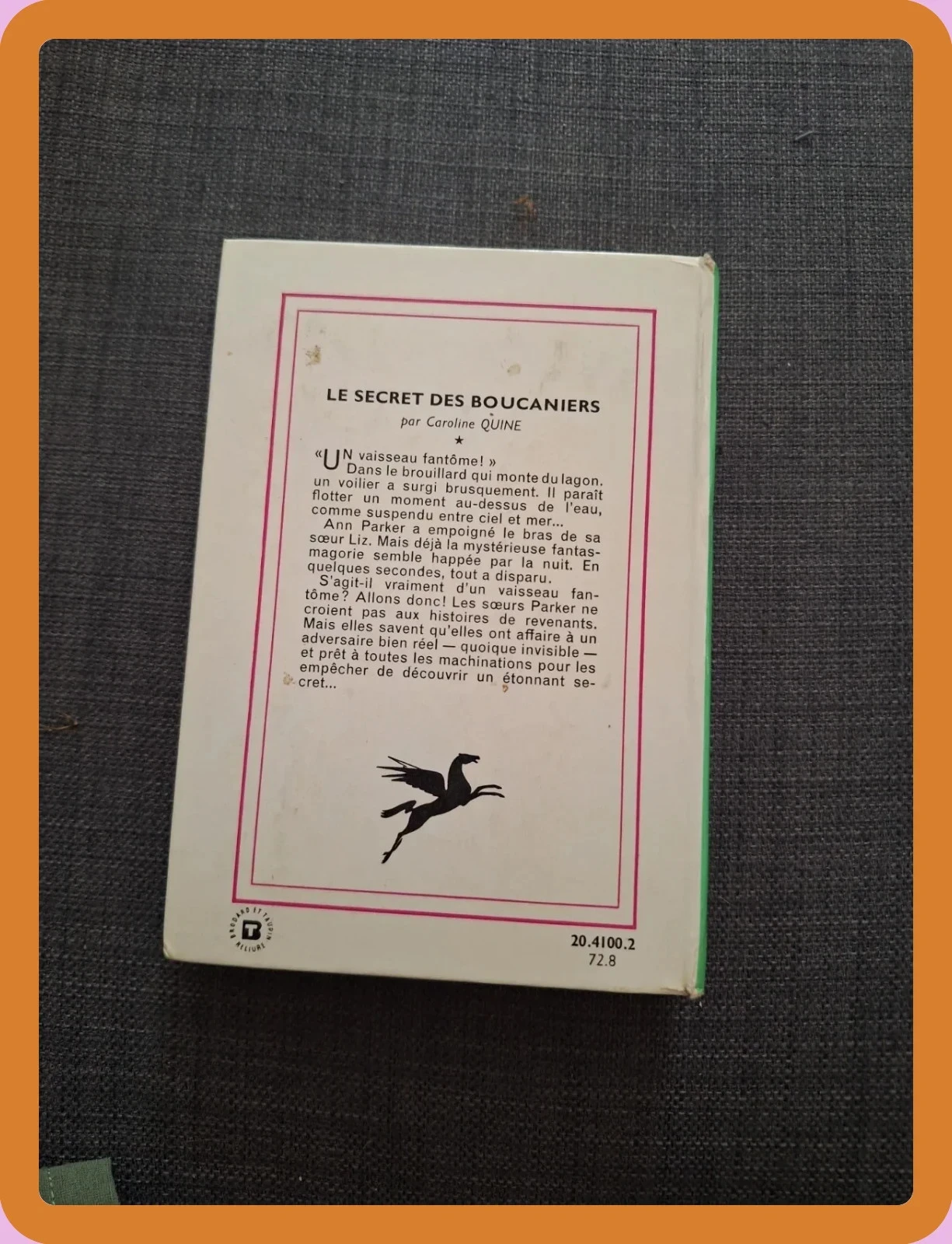 Livro O segredo dos bucaneiros Caroline Quine – photo 2